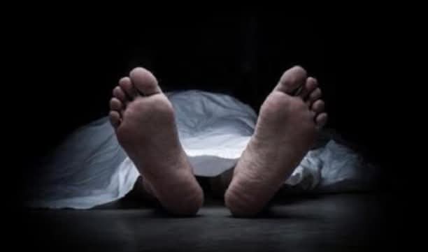 গোপালগঞ্জে মৌমাছির কামড়ে বৃদ্ধের মৃত্যু, আহত ১