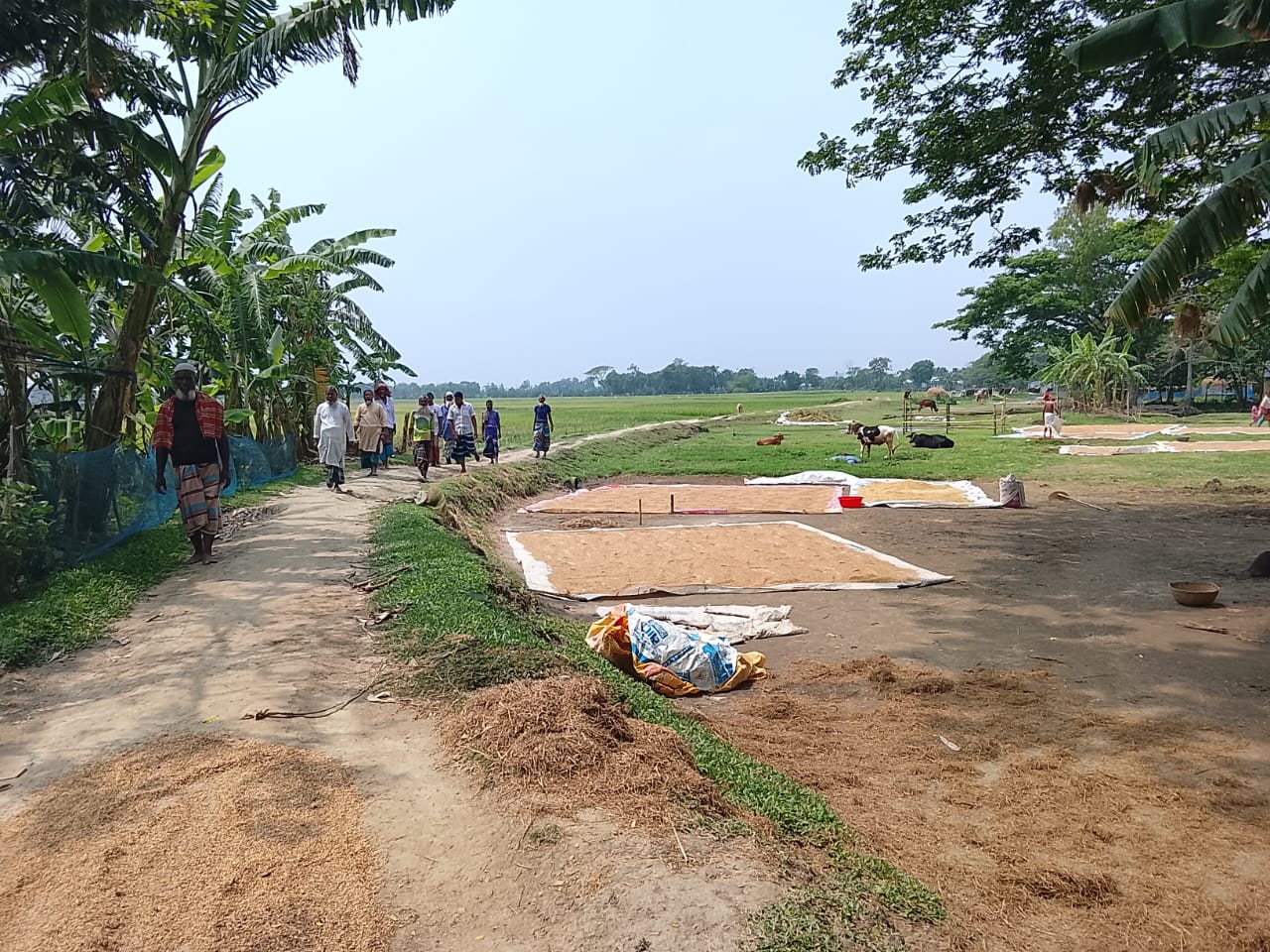 স্বাধীনতার ৫৫ বছরেও পাকা হয়নি সড়ক, ক্ষুব্ধ শিবপুর গ্রামবাসী