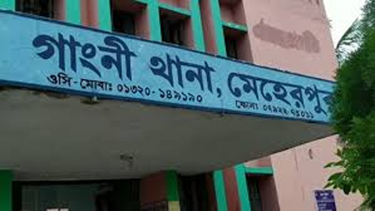মেহেরপুর গাংনীতে বিএনপি নেতাকে গুলি