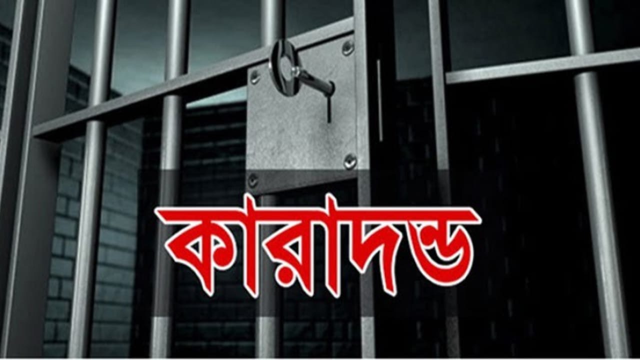 সাতক্ষীরায় শিশু ধর্ষণের দায়ে বৃদ্ধের যাবজ্জীবন: নতুন ট্রাইব্যুনালের প্রথম রায়