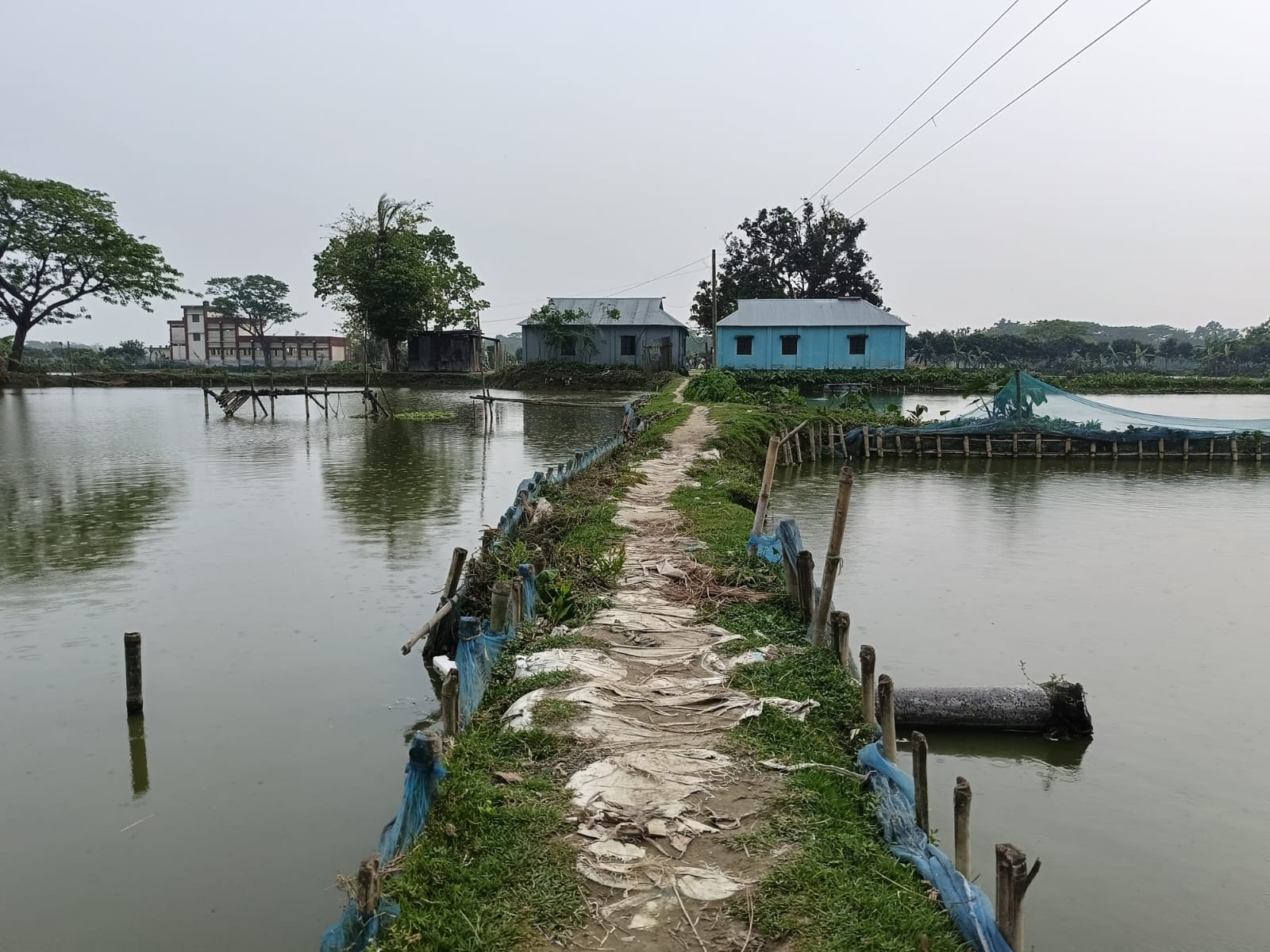 ফিসারির দখলে বিলীন সড়ক: নীরব প্রশাসন, চরম দুর্ভোগে কয়েক হাজার গ্রামবাসী