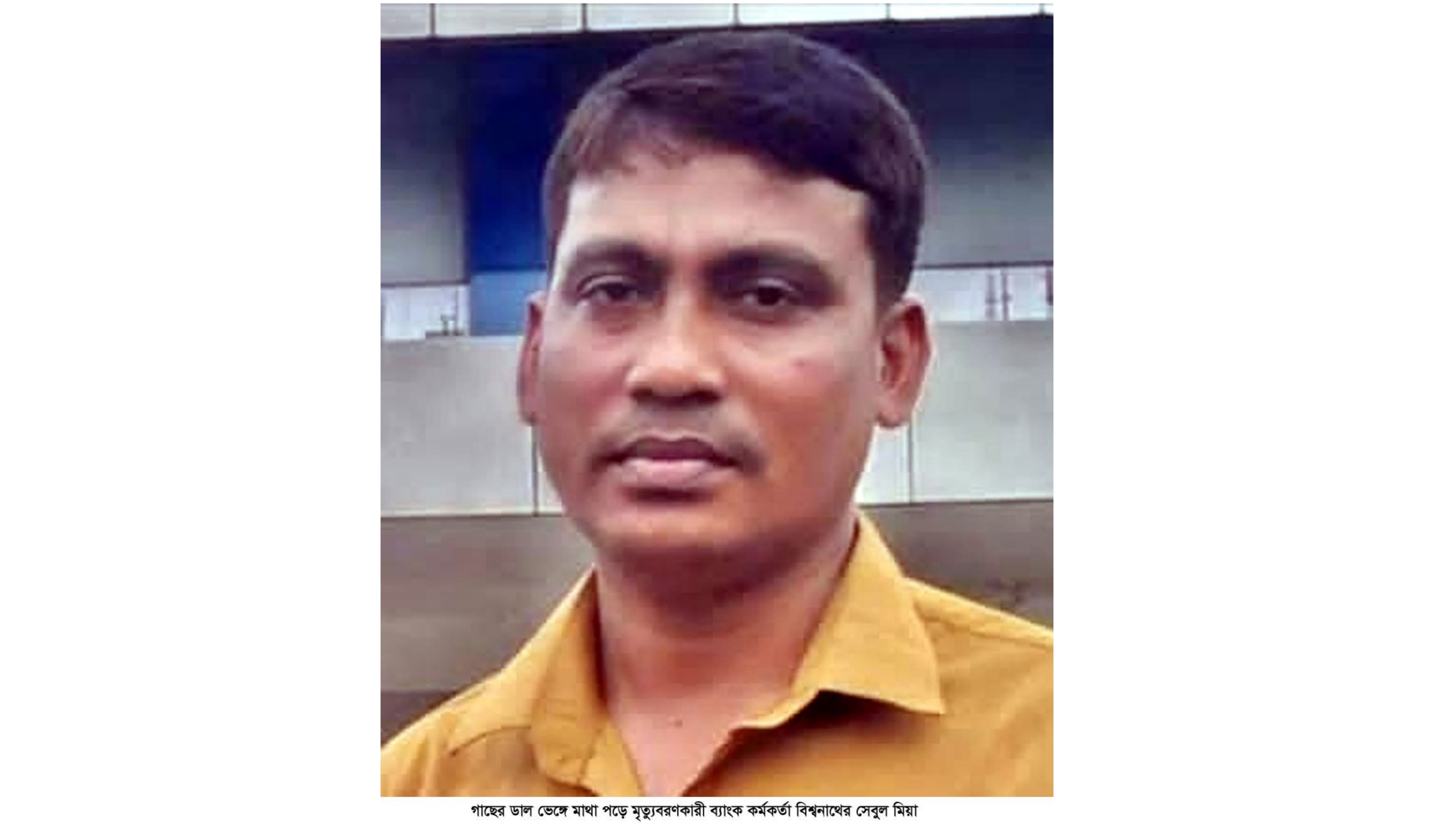 গাছের ডাল ভেঙ্গে পড়ে ব্যাংক কর্মকর্তা মৃত্যু