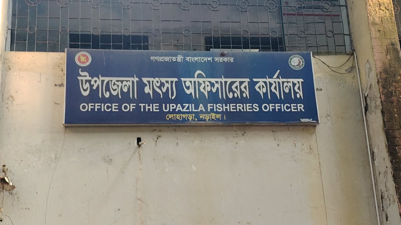 লোহাগড়ায় মা ইলিশ সংরক্ষণে জেলেদের বরাদ্দের  চালের তালিকা দিতে নানা তালবাহানা দুই দপ্তরের