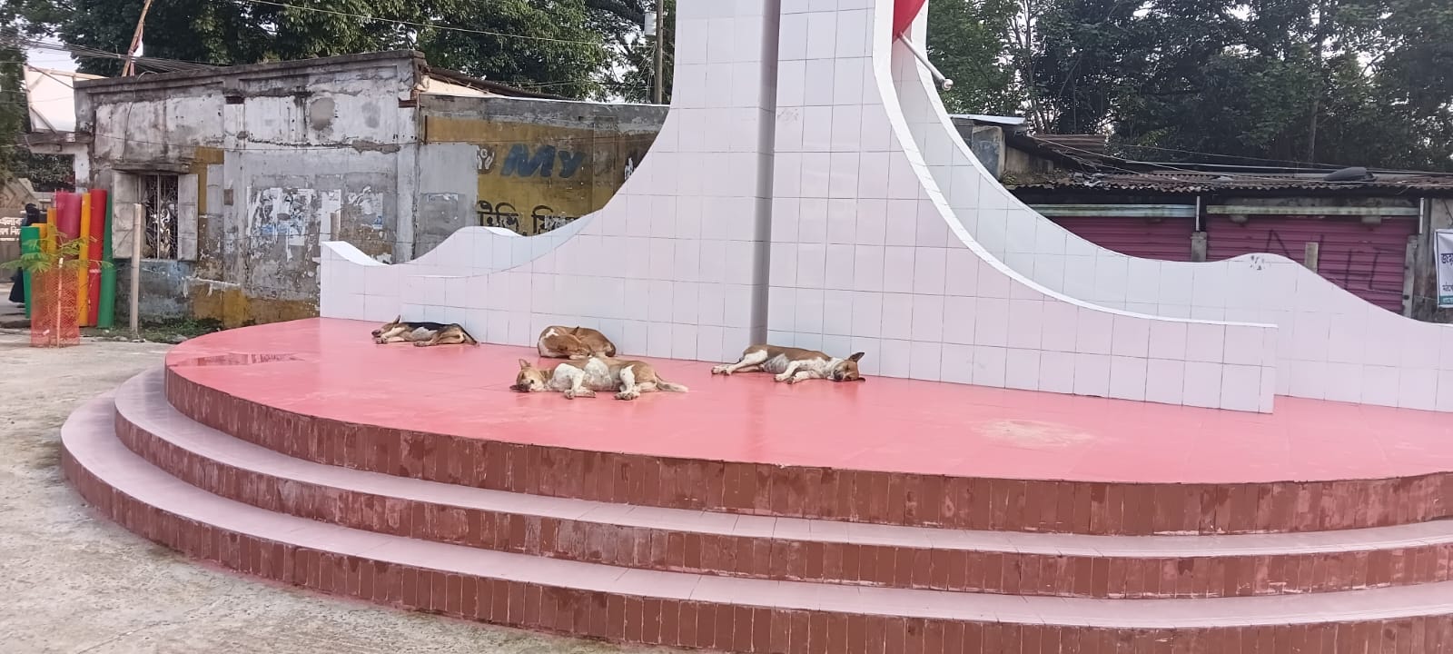 কটিয়াদী কেন্দ্রীয় স্মৃতি সৌধ এখন কুকুরের আবাসস্থল: নেই তদারকি, ক্ষুব্ধ সচেতন মহল