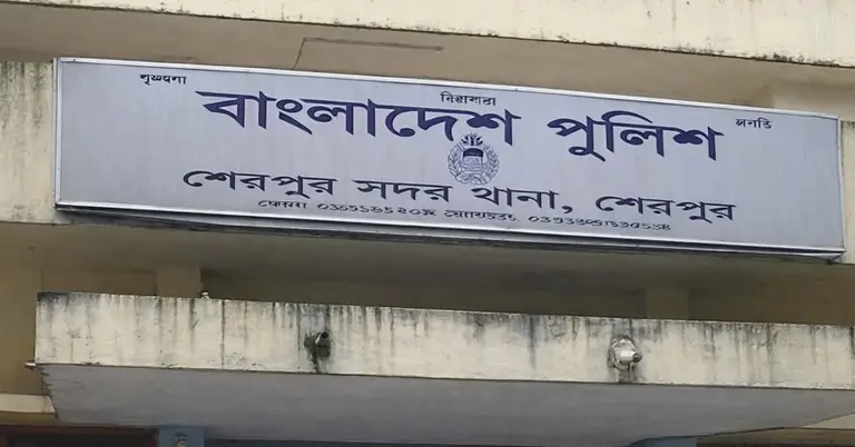 শেরপুরে অটোরিকশা-ট্রাকের সংঘর্ষে নিহত ২, আহত ৫
