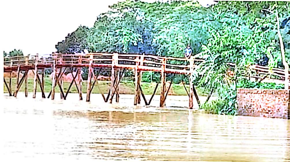নিজেদের টাকায় সাঁকো তৈরি, দুঃখ ঘুচলো ৮ গ্রামের মানুষের