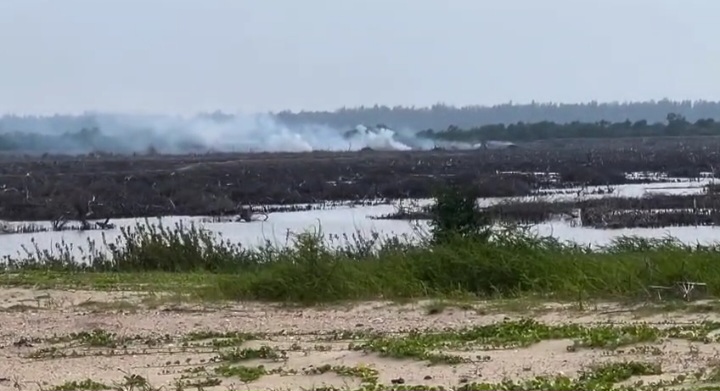 বিশ্ব পরিবেশ দিবসেই সোনাদিয়ায় প্যারাবনে আগুন দিয়েছে দূর্বৃত্তরা