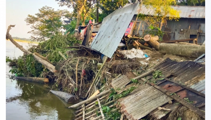 তাড়াইলে নরসুন্দা নদীতে তলিয়ে যাচ্ছে বরুহা গ্রামের সওদাগরপাড়া মানুষের বসতভিটা