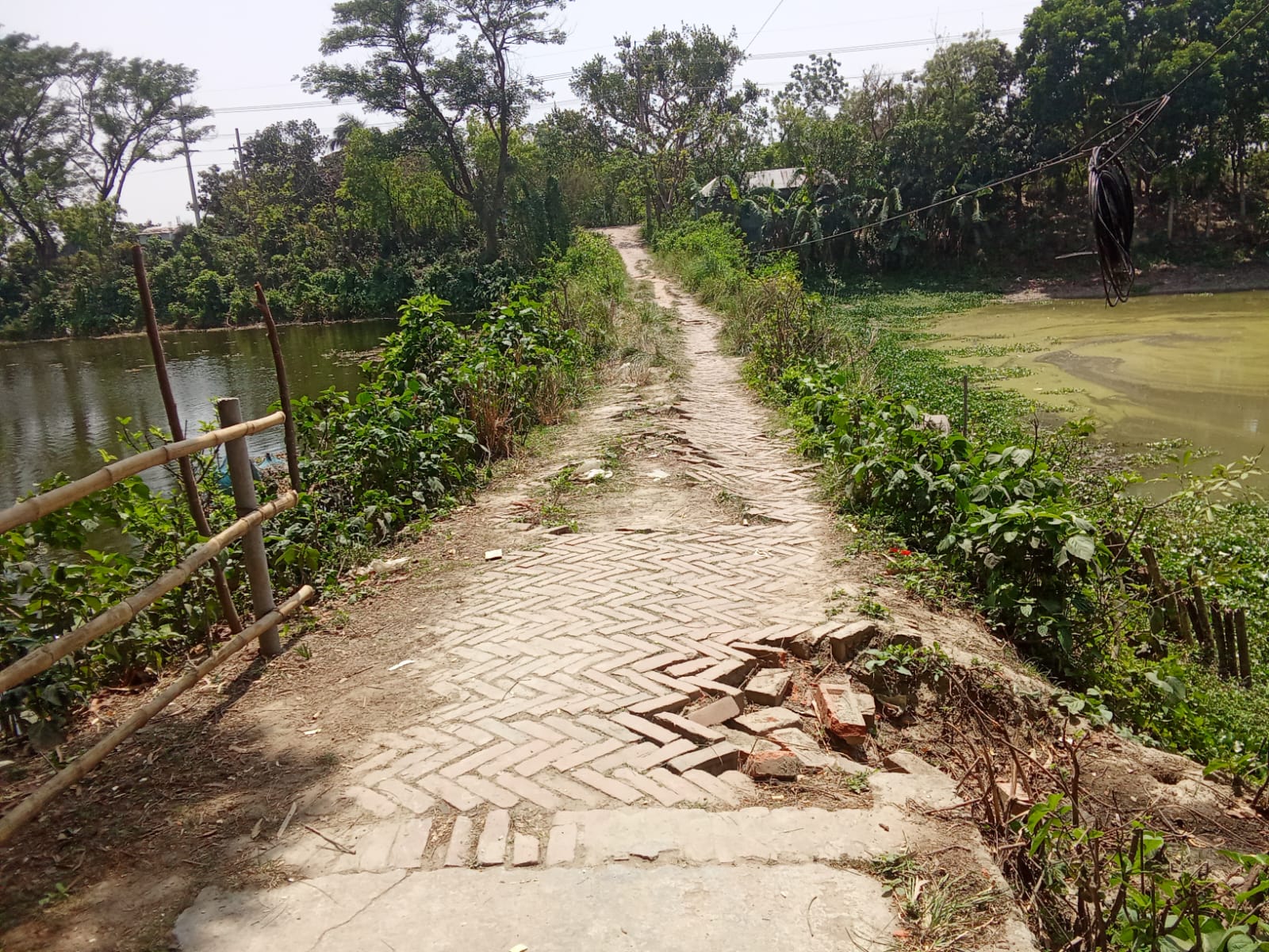 পাবনার ফরিদপুর পৌরসভার ৪নং ওয়ার্ডের রাস্তার বেহাল দশা, চরম দুর্ভোগে