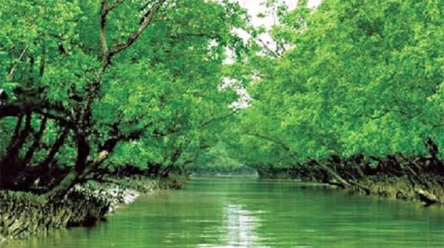 সুন্দরবনে র‍্যাবের অভিযানে জলদস্যু খান জাহান গ্রেপ্তার, অস্ত্র ও গুলি উদ্ধার