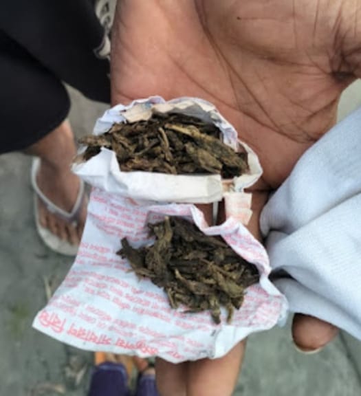 গাঁজা ও গাজা বিক্রির সরঞ্জামসহ কয়রায় হাতেনাতে মাদক কারবারি আটক