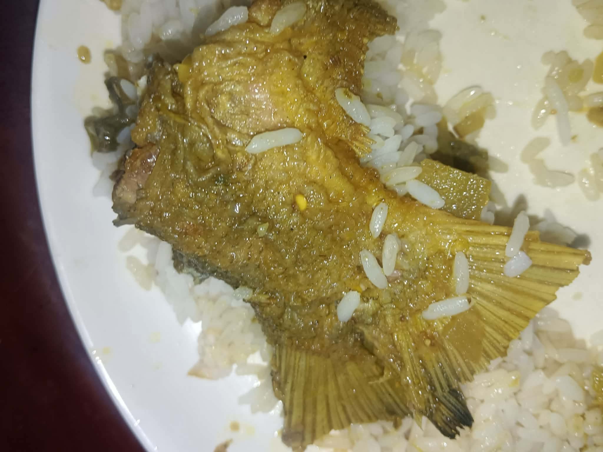 গোবিপ্রবি'র বিজয় দিবস হলে নি/ষিদ্ধ পিরানহা মাছ পরিবেশন, ক্ষুব্ধ শিক্ষার্থীরা