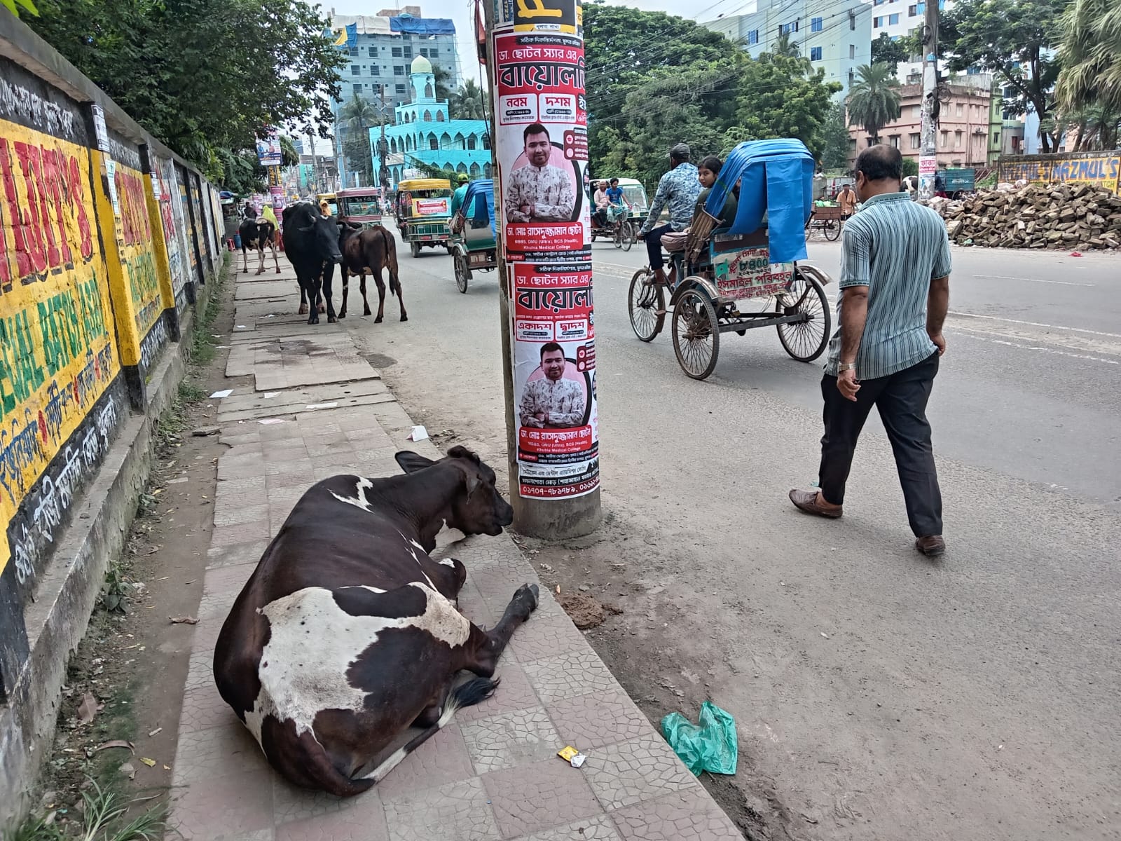 খুলনায় সদ্য রোপণ করা গাছ রক্ষায় জরুরি উদ্যোগ চান নগরবাসী