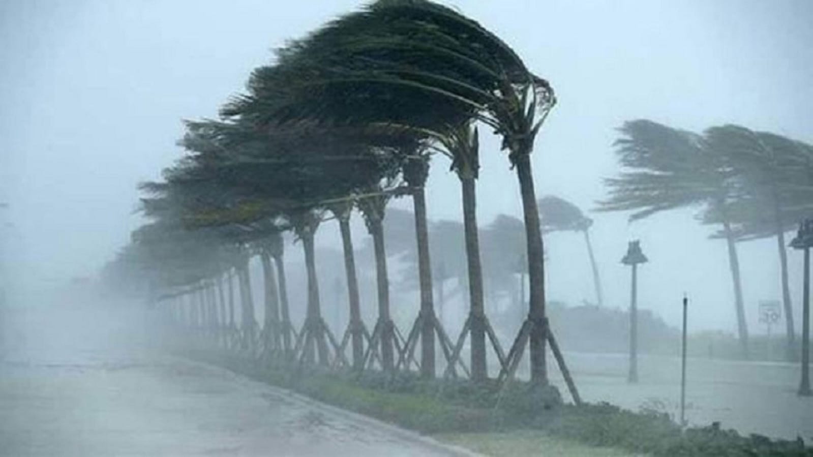 উপকূলীয় ছয় অঞ্চলে ঝড়ো হাওয়াসহ বৃষ্টির আভাস, নদীবন্দরে ১ নম্বর সতর্ক সংকেত