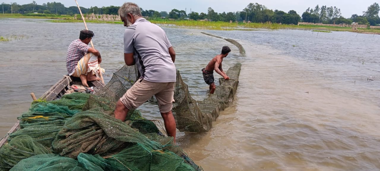 ভাঙ্গুড়ায় ৭৫টি চায়না দুয়ারি জাল জব্দ, আগুনে পুড়িয়ে ধ্বংস