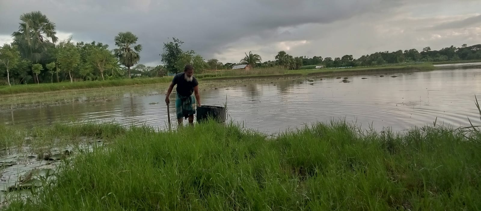 কয়রায় ক্ষেতে কাজ করতে গিয়ে বজ্রপাত দিনমুজর নিহত
