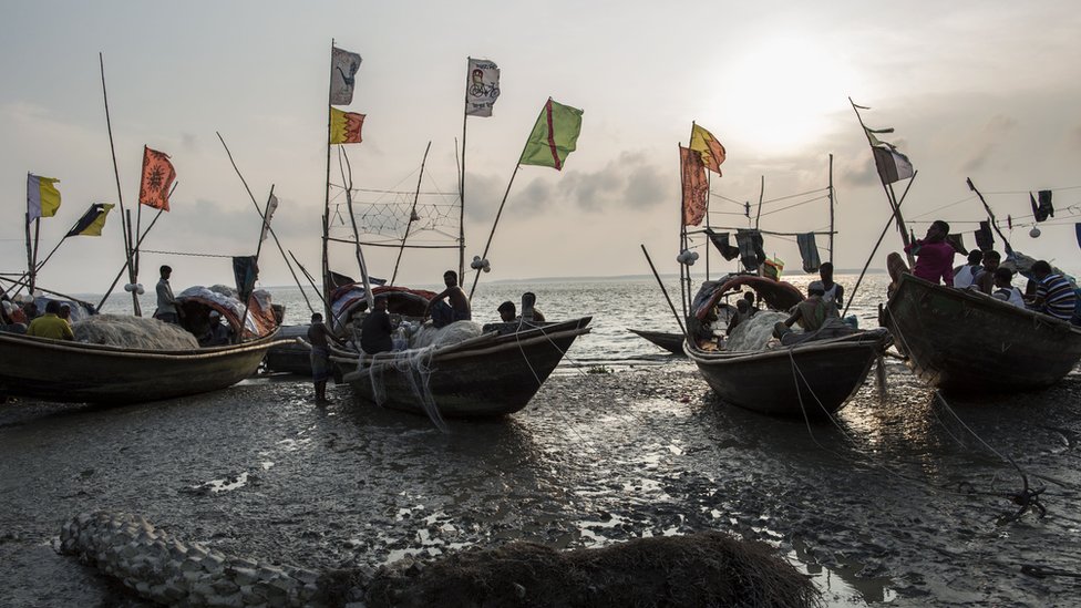 নদীর পানি কমতে শুরু করেছে সাথে সাথে মাছ ধরার জন্য ব্যতি ব্যস্ত রয়েছে পদ্মাপাড়ের জেলেরা।