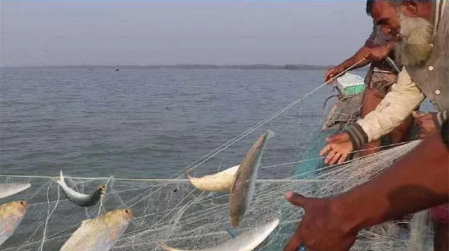 নদীর পানি কমতে শুরু করেছে সাথে সাথে মাছ ধরার জন্য ব্যতি ব্যস্ত রয়েছে পদ্মাপাড়ের জেলেরা।
