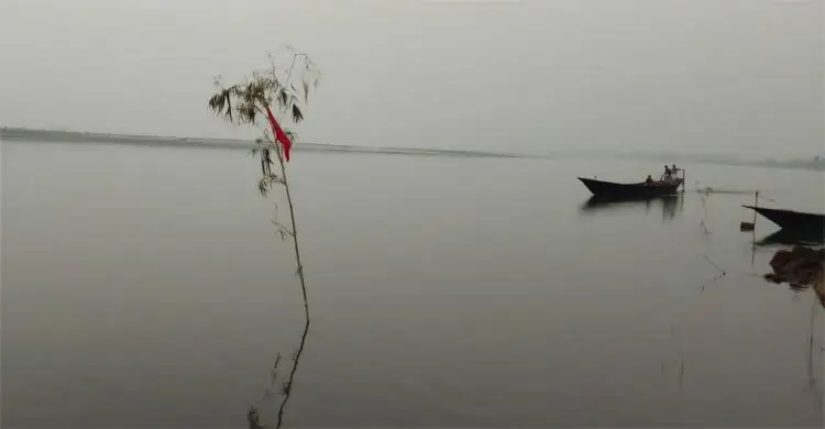 নদীর পানি কমতে শুরু করেছে সাথে সাথে মাছ ধরার জন্য ব্যতি ব্যস্ত রয়েছে পদ্মাপাড়ের জেলেরা।